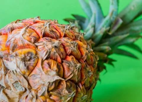 Pineapple on a green background. Tropical fruit. Pineapple on a green background Stock Photos