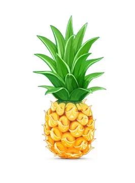 Pineapple with green leaf. Tropical fruit. Stock Illustration