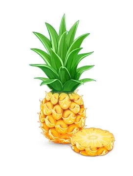 Pineapple with green leaf. Tropical fruit. Stock-Illustration