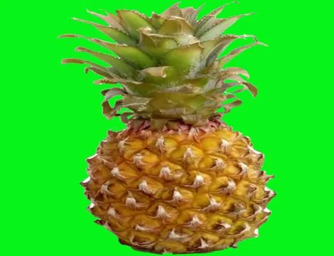 Pineapple green screen 스톡 사진