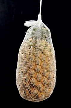 Pineapple in a grid Stock Photos