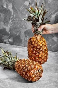 Pineapple in hand on the cement background Stock Photos