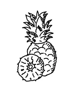Pineapple hand drawn illustration Stock Illustration