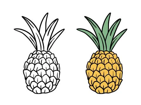 Pineapple hand drawn sketch and color version Stock Illustration
