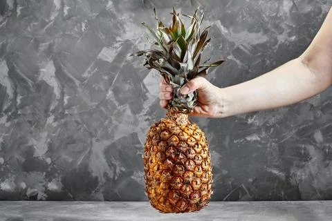 Pineapple in hands on the cement background Stock Photos