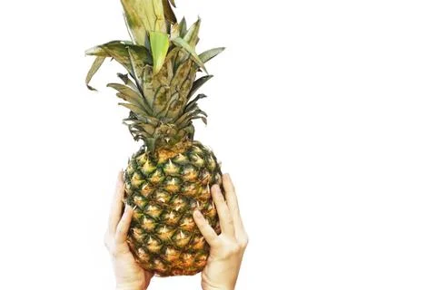 Pineapple in hands on a white background. A pineapple. Fruit Stock Photos