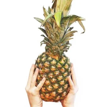 Pineapple in hands on a white background. A pineapple. Fruit Stock Photos