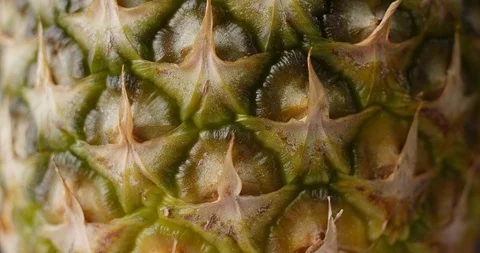 Pineapple Healthy Fruit Close Up Rotating Background Vídeos de archivo 123096610
