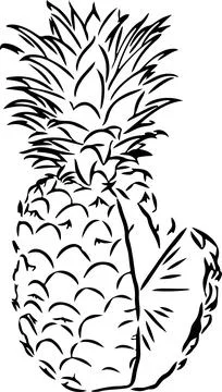 Pineapple icon on white background Stock Illustration