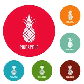 Pineapple icons circle set vector 스톡 일러스트