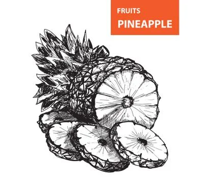 Pineapple Stock Illustration