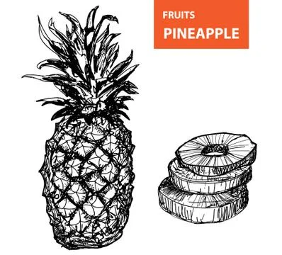 Pineapple Stock Illustration