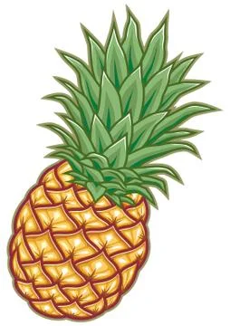 Pineapple Stock Illustration