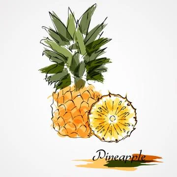 Pineapple Stock Illustration