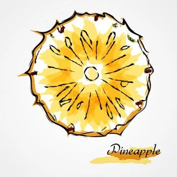Pineapple Stock Illustration