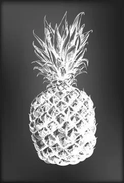 Pineapple Stock Illustration