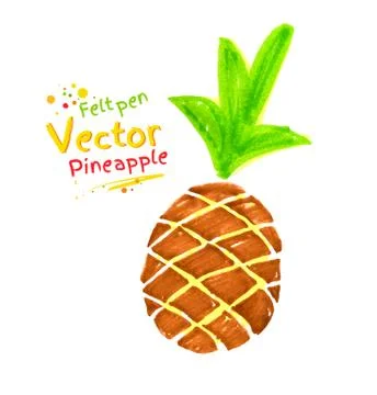 Pineapple Stock Illustration
