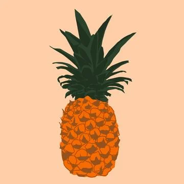 Pineapple Illustration Stock Illustration