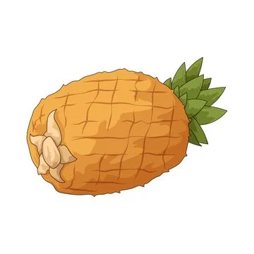 Pineapple illustration Illustrazione stock
