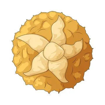 Pineapple illustration Illustrazione stock