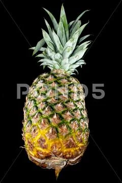 Pineapple isolated on black Stock Photos