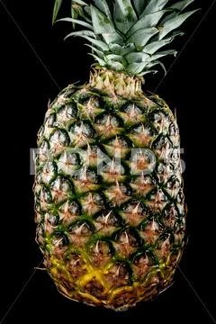 Pineapple isolated on black Stock Photos