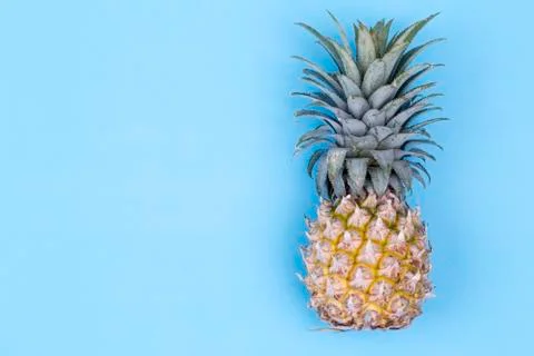 Pineapple isolated on blue background Stock Photos