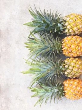 Pineapple isolated on cement floor Stock Photos