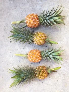 Pineapple isolated on cement floor Stock Photos