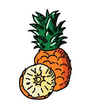 Pineapple isolated Illustrazione stock