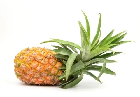 Pineapple isolated Foto stock