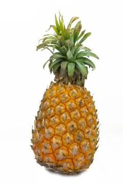 Pineapple  isolated Stock Photos