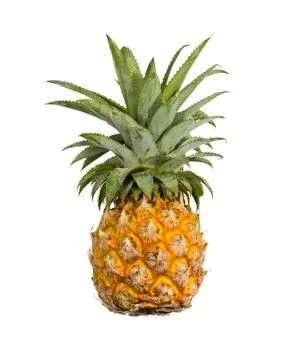 Pineapple isolated Foto stock