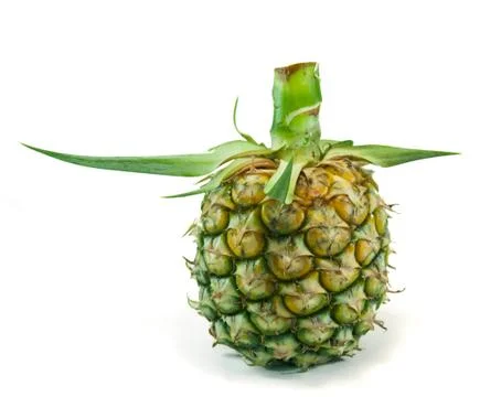 Pineapple isolated 写真素材