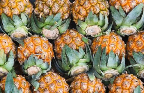 Pineapple isolated 写真素材