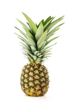 Pineapple isolated Stock Photos