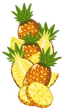 Pineapple isolated, Vector, composition. 스톡 일러스트