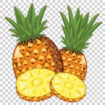 Pineapple Isolated, Vector. 스톡 일러스트