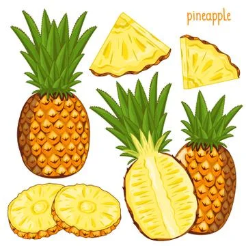 Pineapple Isolated, Vector. 스톡 일러스트