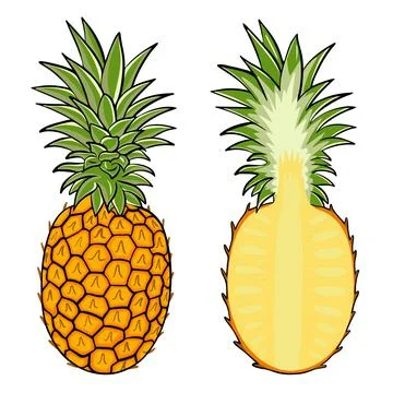 Pineapple isolated vector illustration Stock Illustration