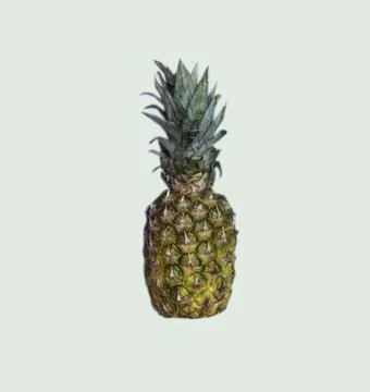 A pineapple on isolated white background with copy space and cutout. Stock Photos
