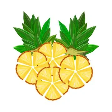 Pineapple isolated on white background. Fresh tropical fruit ananas slices. Stock Illustration