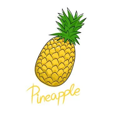 Pineapple isolated on white background Stock Illustration