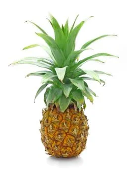 Pineapple is isolated on a white background Stock Photos
