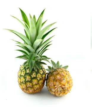Pineapple isolated on white background Stock Photos