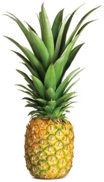 Pineapple isolated on a white background Stock Photos