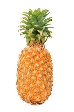 Pineapple isolated on white background Stock Photos