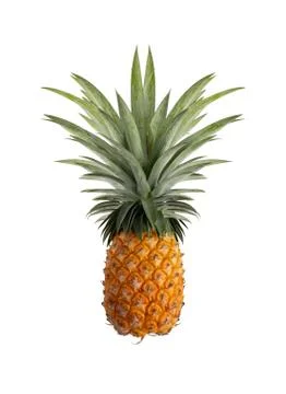 Pineapple isolated on the white background Stock Photos