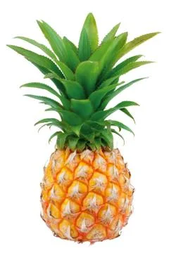 Pineapple isolated on white background Stock Photos