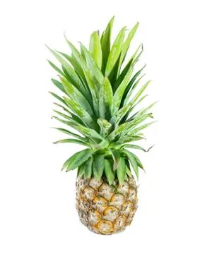 Pineapple on isolated white background Stock Photos